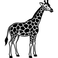 Naklejka premium giraffe vector illustration