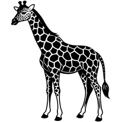giraffe vector illustration