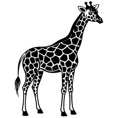 Fototapeta premium giraffe vector illustration