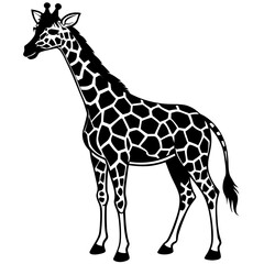 Naklejka premium giraffe vector illustration