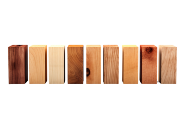 The Enchanted Row of Wooden Blocks on White or PNG Transparent Background.