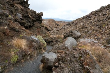 hiking path in the mountains on a cloudy day.
