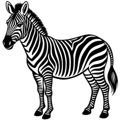 Obraz premium zebra vector illustration