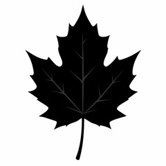 Autumn maple leaf vector illustration, leaf house vector art, autumn maple leaf silhouette, autumn maple leaf cartoon vector icon