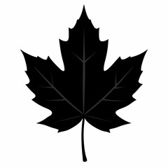 Fototapeta premium Autumn maple leaf vector illustration, leaf house vector art, autumn maple leaf silhouette, autumn maple leaf cartoon vector icon
