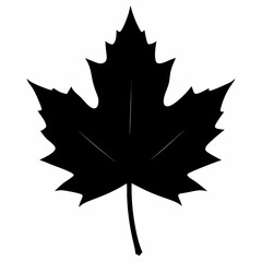 Fototapeta premium Autumn maple leaf vector illustration, leaf house vector art, autumn maple leaf silhouette, autumn maple leaf cartoon vector icon