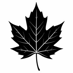 Fototapeta premium Autumn maple leaf vector illustration, leaf house vector art, autumn maple leaf silhouette, autumn maple leaf cartoon vector icon