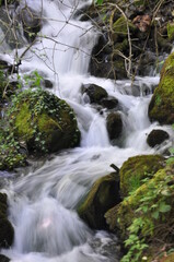 Water stream flowing into the forest in Yedi Goller (Seven Lakes) National Park, Bolu, Turkey