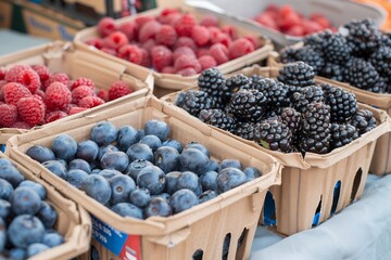 Blueberries, blackberries and raspberries in boxes at the farmer's market. 
