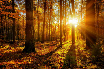 Fototapeta premium the sun beam shines through the autumn trees in the forest on a path. generative ai