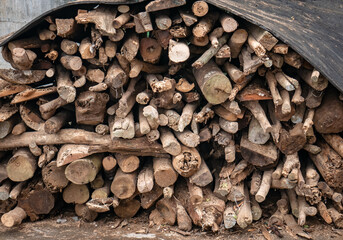 a pile of small, dry logs to use as firewood