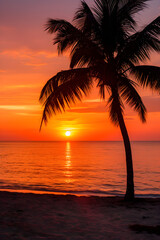 Breathtaking Pink and Golden Pantone Sunset View With Palm Silhouette At BN Beach: Nature's Serene Visual Symphony