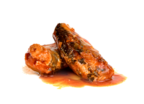 mackerel in tomato sauce isolated