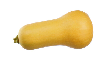 Butternut squash isolated on white background