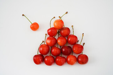 サクランボ　桜桃　佐藤錦 北海道仁山産