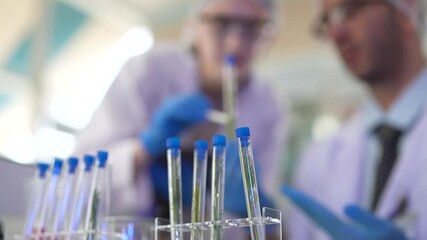 scientists perform experiments and record data. people arranges equipment with test tubes and chemicals for producing medicine and biochemistry. man hold tubes of chemical liquids and plant samples. - Powered by Adobe