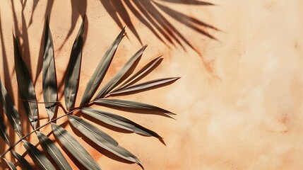 Beige Background Shadow Texture Leaf Palm Summer Autumn Wall Light Abstract Floor Wall Orange Brown Tree blue pastel Gradient Two Tone Bright Color Paper Stone : Generative AI