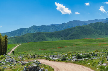 Mountain dirt road among summer green meadows on the hills. Summer natural mountain background.