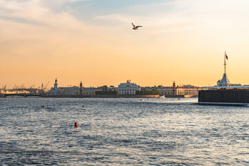 St. Petersburg, Russia . View of the Spit of Vasilyevsky Island at sunset. Selective focus.