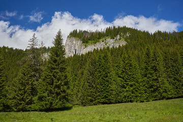 Summer alpine landscape