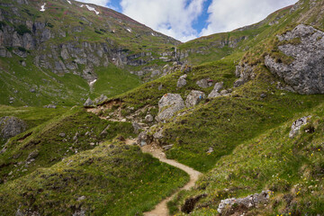 Summer alpine landscape
