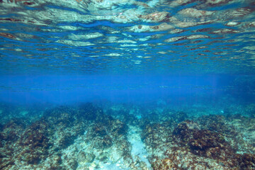 美しい式根島の神引浦の海と100mの断崖絶壁の半水面撮影。

東京都伊豆諸島式根島 - 2021年3月
