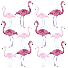 set of flamingo