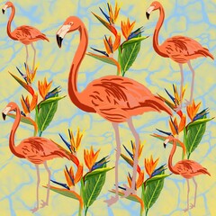 flamingos in the water
