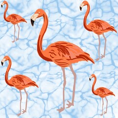 Obraz premium flamingos in water