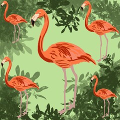 Obraz premium flamingos in water