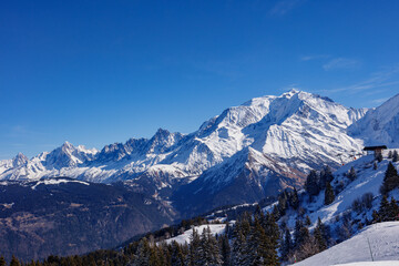 Fototapeta premium Snow-capped mountains and winter forest under a clear blue sky