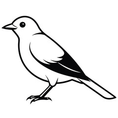 bird silhouette vector style with white background