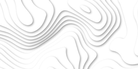 Fototapeta premium Abstract white color papercut realistic decoration texture design. modern white 3d luxury papercut wave line pattern background. geometry wallpaper, banner, poster vector illustration .