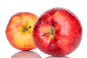 Two red apples, macro, isolated on white background.