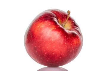 One red apple, macro, isolated on white background.