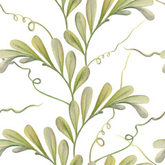 Hand drawn watercolor illustration shabby boho botanical flowers leaves. Green locust indigofera branches, tendrils. Seamless pattern isolated white background. Design wedding, love cards, gift paper