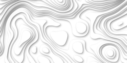 Abstract white color papercut realistic decoration texture design. modern white 3d luxury papercut wave line pattern background. geometry wallpaper, banner, poster vector illustration .