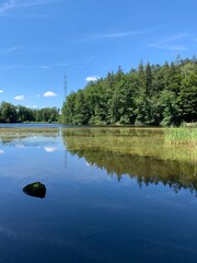 Thalwiler Weiher / Waldweiher von Thalwil bei Gattikon im Sihlwald, Kanton Zürich 