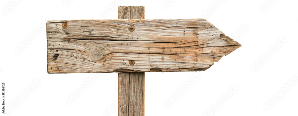 Wall mural different a piece of wood empty sign on transparent background