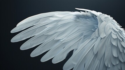 Feathery white wings in a natural setting.