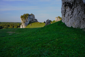 Naklejka premium Limestone rocks, near a village Mirow, Cracow-Czestochowa Upland, Poland