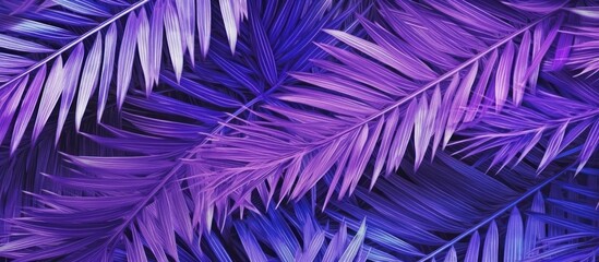 Purple Palm Leaf Abstract Pattern