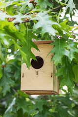 A wooden birdhouse is suspended from a branch of a tree in a garden