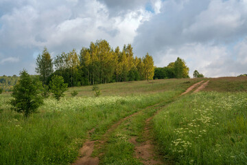 Obraz premium View of the country road through the Izborsko-Malskaya valley on a sunny summer morning, Izborsk, Pechersk district, Pskov region, Russia