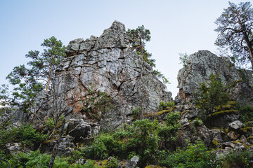 A serene scene unfolds in nature as a sizable rock formation is surrounded by verdant trees and shrubs, offering a tranquil and beautiful sight in a natural landscape setting