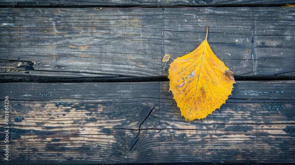 Canvas Prints Yellow leaf hanging on wooden surface