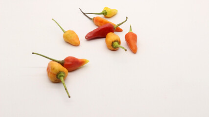 Chili on a white background