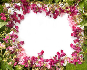 Red and pink flowers frame