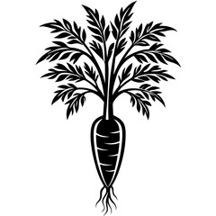 carrot with leaves vector design with a white background 