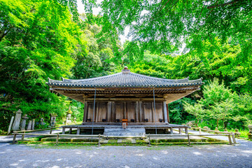 Fototapeta premium 夏の富貴寺 大分県豊後高田市 Fukiji temple in summer. Oita Pref, Bungoono City.
